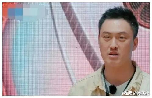 娱乐圈吃瓜爆料广告